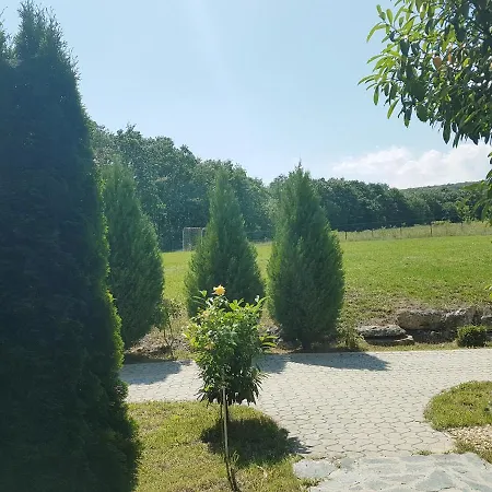 Zlaten Briz Вилла *